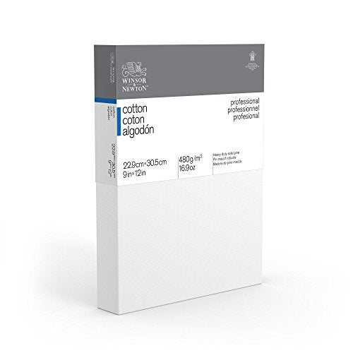 Winsor & Newton Professional Cotton Canvas, 9" x 12" Deep Edge - size: 9" x 12", style: Cotton Deep Edge