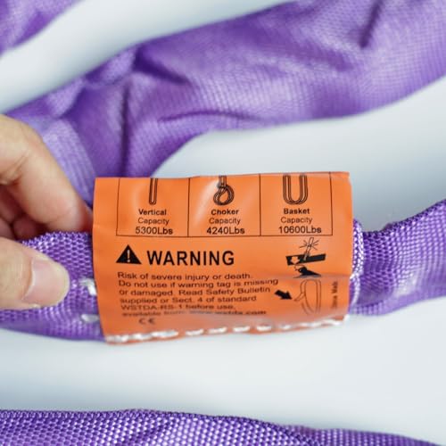 Endless Round Slings for Aerial Lyra Hoop Rig, Aerial Silks Handing Polyester Lifting Sling Spanset, Heavy Duty Polyester Capacity 5300 Lbs Vertical Capacity (Purple, 2 FT) - color: Purple, size: 2 ft