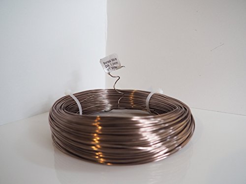 Anodized Aluminum 1.0mm Bonsai Training Wire 250g Large Roll (375 feet) - Choose Your Size and Color (1.0mm, Brown) - color: Brown, size: 1.0mm