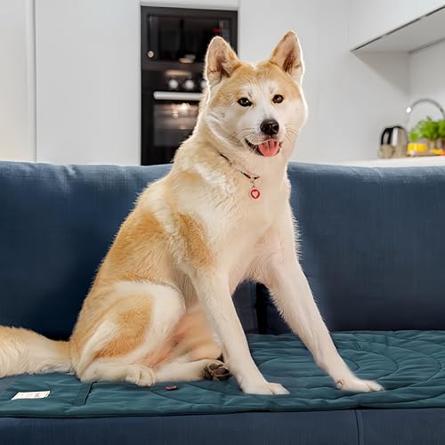 Lightly Padded Roll-Up Travel Dog Mat Settle & Place Training - color: Yellow, size: Medium(37.4"x25.6")