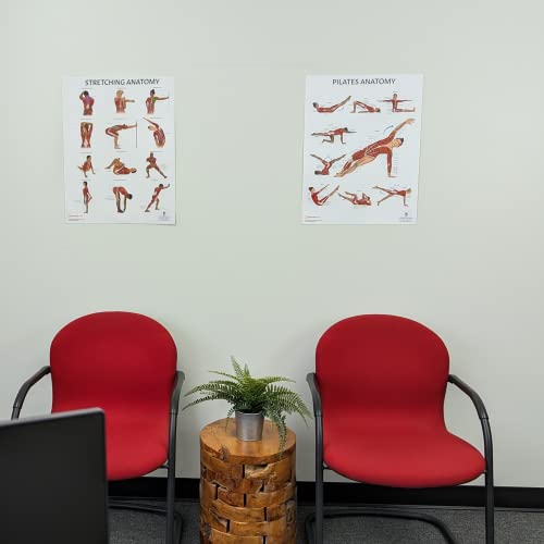 Anatomy Lab Stretching and Pilates Anatomy Posters Set | 2 PACK LAMINATED, 17.3 x 22.5 Inches, Body Chart - color: Pilates + Stretching
