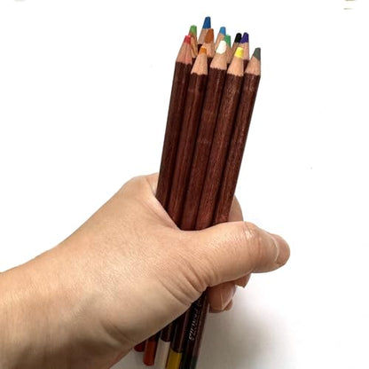 12 Color Pastel Pencils, Excellent Lightfast & Color Coverage | Easy to Use, Cost-Effective for All Skill Level Users from Beginners, Students to Professionals & Artists