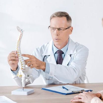 Mini Spine Anatomy Model - 15.5’’ Miniature Human Spine Model with All Nerves for Medical Learning - for Instruction Teaching, Study and Display