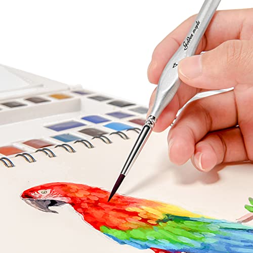 Golden Maple Miniature Paint Brushes, 15PC Model Brushes Micro Detail Paint Brush Set, Fine Detailing for Acrylics, Oils, Watercolors & Paint by Number, Figurine (Silver) - color: Silver