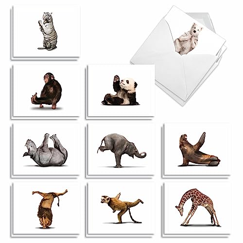 The Best Card Company - 20 Blank Yoga Animal Cards (4 x 5.12 Inch) - All Occasion Set (10 Designs, 2 Each) - Zoo Yoga AM6547OCB-B2x10 - style: Zoo Yoga