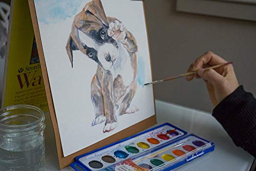 Color Swell 8 Color Bulk Watercolors with Wood Brushes, 1 Pack - size: 1 Count | 8 Colors
