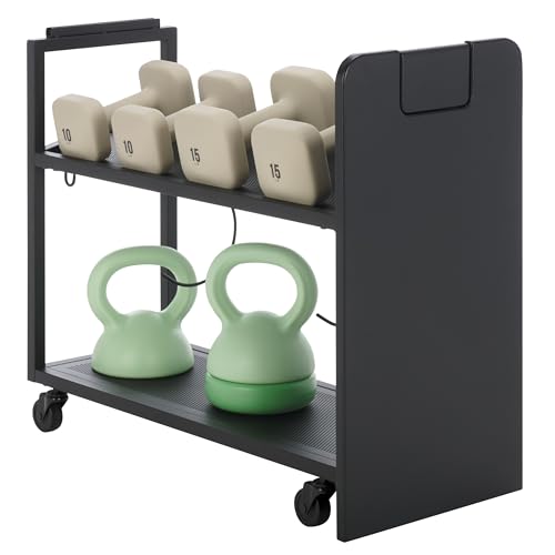 SEI Furniture - Sidekick Sport Equipment Rolling Rack - Transitional Design, Black Metal and Wood - Ideal for Bedroom, Living Room (HZ0122) - color: Black