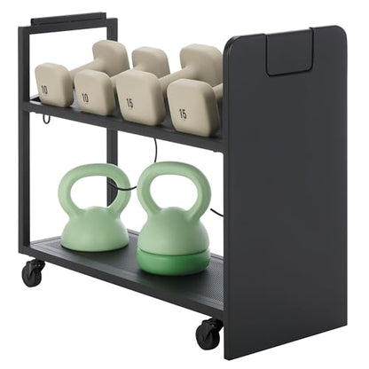 SEI Furniture - Sidekick Sport Equipment Rolling Rack - Transitional Design, Black Metal and Wood - Ideal for Bedroom, Living Room (HZ0122) - color: Black