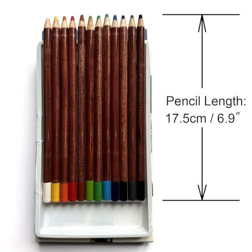 12 Color Pastel Pencils, Excellent Lightfast & Color Coverage | Easy to Use, Cost-Effective for All Skill Level Users from Beginners, Students to Professionals & Artists