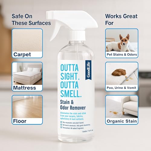 Natural Odor and Stain Remover Spray - Unscented Plant-Based Child & Pet Safe Cleaner Earth-Friendly Odor Eliminator Eco Cleaning Products for Home, Carpet (1 Pack, 1 Gallon) - size: 128 Fl Oz (Pack of 1)