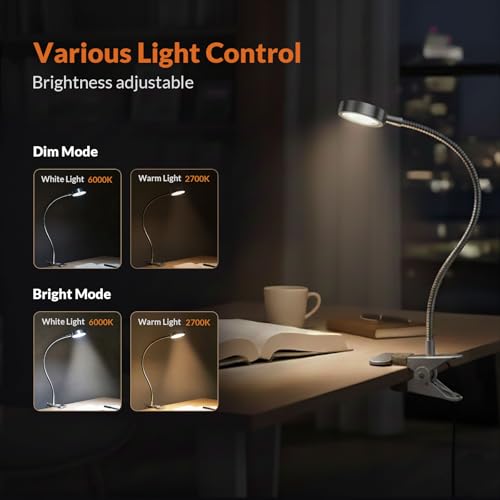 LEPOWER Clip on Light, Book Reading Lamp for Desk, Bed Headboard and Dorm | Adjustable Gooseneck, Color & Brightness Changeable, Adapter Included, LED Table Lamp for Computer, Bedside, Metal, Silver - color: Silver
