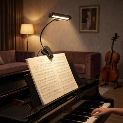 Music Stand Light, Clip on LED Lamp with 10 Bright LEDs, 360° Adjustable Gooseneck, USB or Battery Powered for Piano, Sheet Music, Desk, Travel