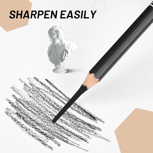 Geyoga 72 Pcs Professional Charcoal Pencils Bulk Soft Medium Hard for Drawing Charcoal Pencils for Art Painting Sketching Shading Drawing Blending Portrait Artists Students Christmas Stocking Gifts