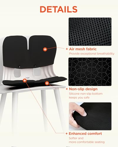 curble Grand Cover, Detachable Cover for Adult Chair, Ergonomic Chair Back Support and Lumbar Support (Black) - color: Cover Black
