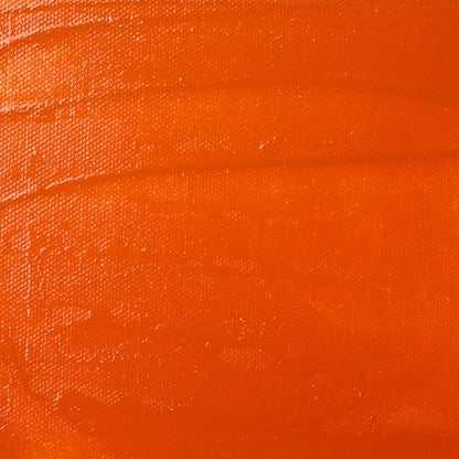 Liquitex Professional Satin Varnish, 1.89L (Half Gallon) Bucket | 100% Acrylic Polymer Varnish Satin Sheen, Protects & Resists Dirt Retention, Increases Brightness, Resists Discoloration - color: Satin, style: 64-oz