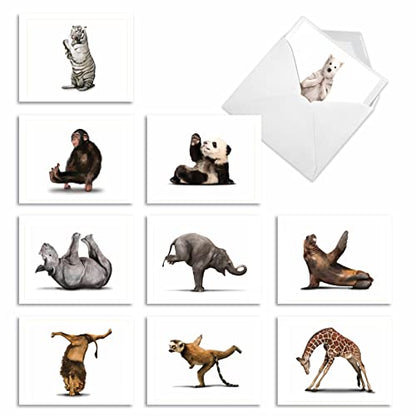 The Best Card Company - 10 Blank Yoga Note Cards (4x 5.12 Inch) - Boxed Notecards with Envelopes, Cute Animal Cards, Zen Assortment - Zoo Yoga M6547OCB - style: Zoo Yoga