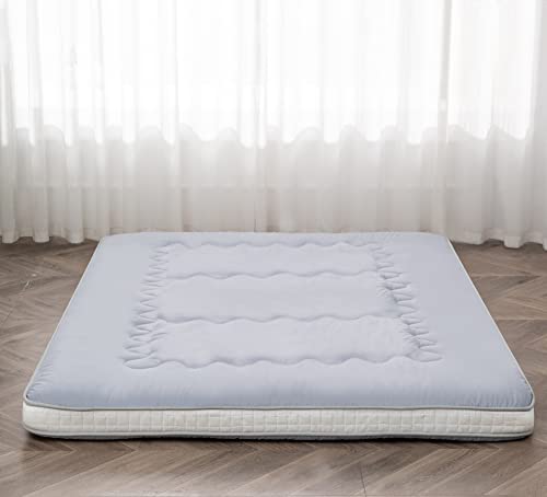 Dr.Futon Japanese Floor Futon Mattress Mat Extra Thick Folding Roll Up Bed for Guest,Lounger and Tavel - color: Silvergrey, size: Twin