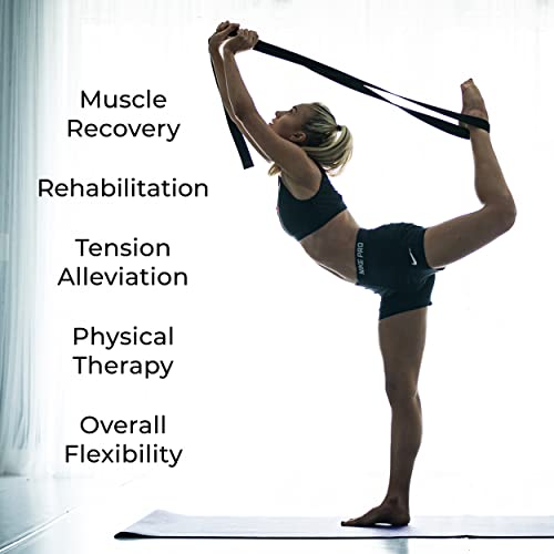 Bulk Yoga Straps, 10 Pack, 6ft, D-Ring Buckle | Adjustable Leg Stretching Strap for Muscle and Hamstring Stretch - Exercise Strap for Home,Gym, Schools and Studio - color: Blue