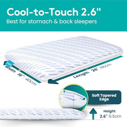 BLISSBURY Cooling Stomach Sleeper Pillow, Thin Memory Foam, 2.6 Inch - color: Cooling (White), size: 2.6"H (Queen)