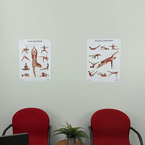 Anatomy Lab Yoga, Pilates Anatomy Poster Set, 2 PACK LAMINATED | 17.3 x 22.5 Inches, Body Chart, Premium Wall Pilates Exercise Chart and Yoga Posters for Wall - color: Yoga + Pilates