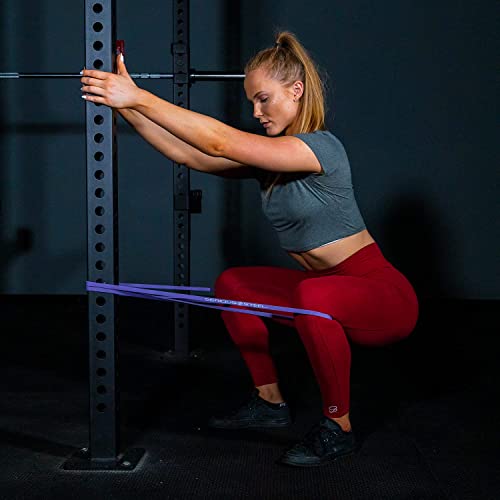 SERIOUS STEEL FITNESS Assisted 41" Pull-Up Band, Resistance & Stretch, Powerlifting & Pull-up Assist Loop (Single Band) - style: #1 (5-35 lbs)