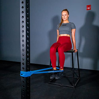 SERIOUS STEEL FITNESS Assisted 41" Pull-Up Band, Resistance & Stretch, Powerlifting & Pull-up Assist Loop (Single Band) - style: #3 (25-80 lbs)