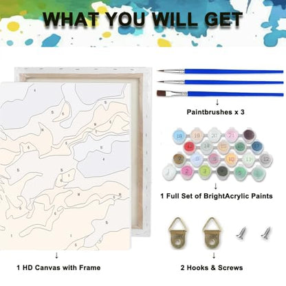 Paint by Numbers Kit for Adults,Raccoon DIY Paint by Number With Frame | Paint by Number for Beginner,Adult Paint by Number,HD Color Canvas,DIY Tool Kits,Stress Relief Craft,Great Gift,10X10 inch - color: MT6133