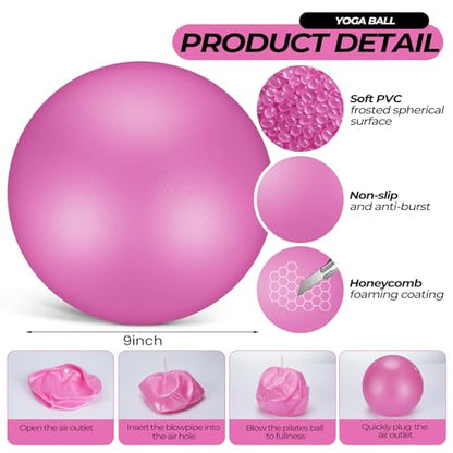 Seenelling 18 Pcs Pilates Ring and Ball Bulk Home Pilate Kit - color: Pink