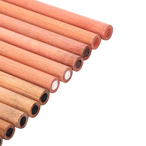 hong 12PCS 4 Colors Sketching Pencils Wooden Charcoal Drawing Pencil Art Supplies with Gift Box for Art Students, Beginners, Professional Painter, White/Sanguine/Sepia/Black Charcoal Pencils