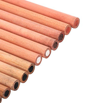 hong 12PCS 4 Colors Sketching Pencils Wooden Charcoal Drawing Pencil Art Supplies with Gift Box for Art Students, Beginners, Professional Painter, White/Sanguine/Sepia/Black Charcoal Pencils