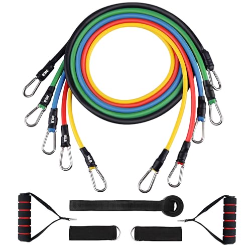 Resistance Bands Set (12pcs), Workout Bands with Handles, Door Anchor, Ankle Straps and Carry Bag, Exercise Bands for Shape Body and Home Workouts