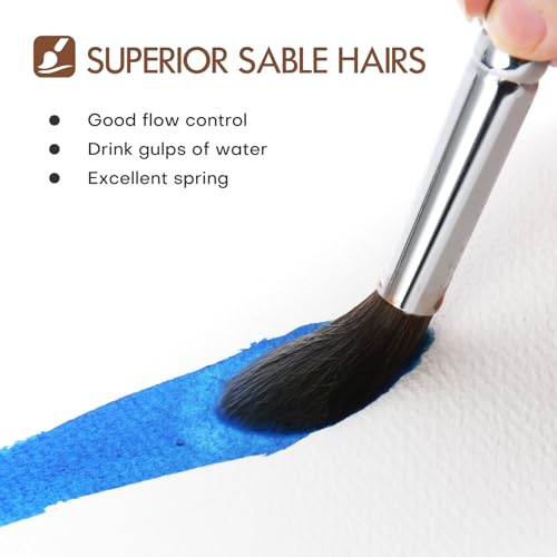 Sable Watercolor Brushes Professional, Fuumuui 7Pcs Sable Brush Set Variety Shapes with Flat, Round Pointed, Cat's Tongue Oval Wash Fan Brush Perfect for Watercolor Gouache Inks Painting - color: Brown+black