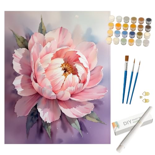 Peony Paint by Numbers Kit for Adults - DIY Pink Peony Painting on Rolled Canvas 16x20 Inches, Acrylic Paint Set, Suitable for Beginners, Great for Home Decoration or Gifts - color: TCXY06420, size: 16X20IN Rolled