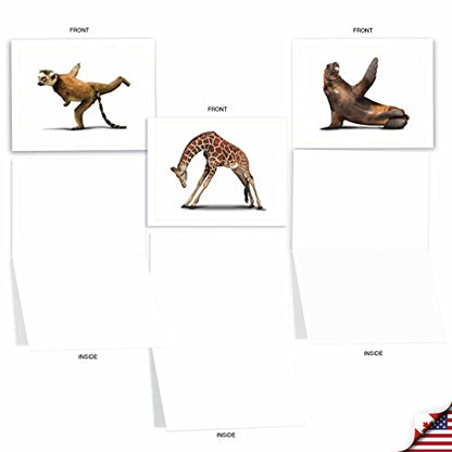 The Best Card Company - 10 Blank Yoga Note Cards (4x 5.12 Inch) - Boxed Notecards with Envelopes, Cute Animal Cards, Zen Assortment - Zoo Yoga M6547OCB - style: Zoo Yoga