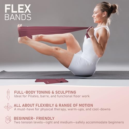 PhysKcal Pilates Kit, 15-Inch Pilates Ring with 1x Pilates Ball & 5X Bands | Aesthetic Home Pilates Equipment Set, Essential Kit for Beginners in Minimalist Style. Comes in Premium Packaging - color: Plum