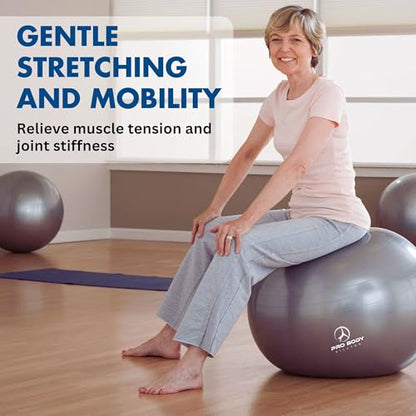 ProBody Pilates Yoga Ball - Vibrant Colors Exercise Ball - color: Sky, size: L: 23-26" (65 cm)