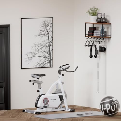 TJ.MOREE 2 Tier Floating Shelf Compatible with Tonal Accessories Wall Mount