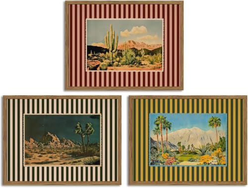 3 Pack Cactus Diamond Art Kits for Adults Diamond Painting Kit for Beginner | South Western Desert 5D DIY Diamond Dots Full Drill Crafts for Gem Art Dot Art for Adults Home Wall Decor for Teens 10x12 in - color: DP04906