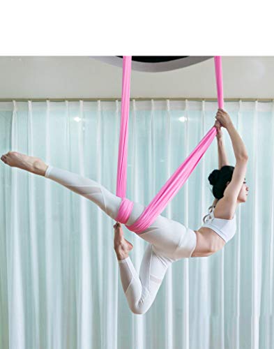F.Life Aerial Silk Yoga Hammock & Swing for yoga Inversion,Strength training,starter hardware kit - color: cherry pink