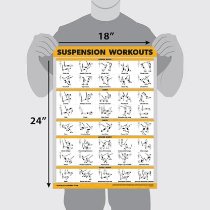 Palace Learning QUICKFIT Suspension Workout Exercise Poster - (Laminated, 18" x 24"), Hallway