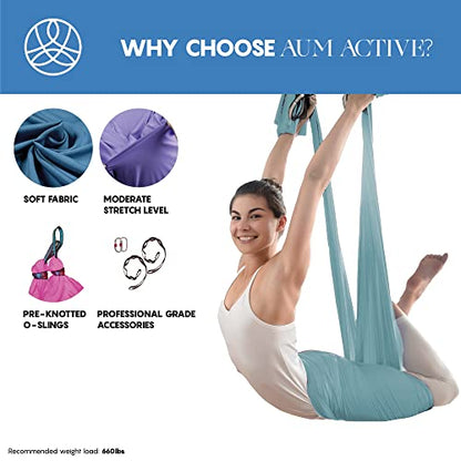 Aerial Yoga Hammock Swing, 4.5 Yards, Aerial Silks with Hardware - color: Light-Blue, size: 4.5 yards