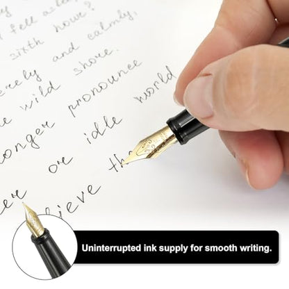 PATIKIL Fountain Pen Medium Nib, Fountain Pen Barrel Handcrafted Pen for Professional Office Journaling Gifts, Transparent White - color: Transparent White