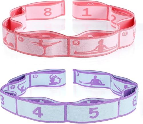 Multi-Loop Stretch Band - Yoga, Pilates, Ballet, and Physical Therapy Stretching Strap for Flexibility, Leg Stretching, and Exercise - Durable Stretching Equipment - color: Pink+Blue (8 Loops)