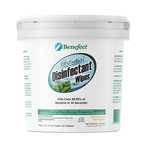Benefect 식물성 소독 물티슈 - (250개) 천연, 잔여물 없음 - 항균 소독제, 다중 표면 청소 및 살균 물티슈 - size: 250 Count (Pack of 1)