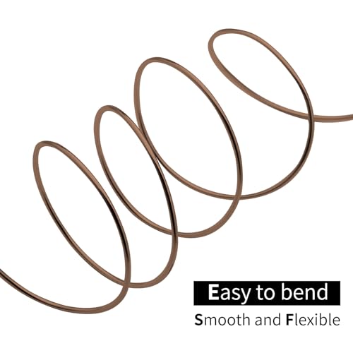 Bonsai Training Aluminum Wire, 1.0mm 18 Gauge Bronze 200g, Bendable Anodized Craft Wire, Flexible Armature Wire for Bonsai Tree Shaping, DIY Handcraft and Model Making(Bronze-1.0) - color: Brown, size: 18 Gauge