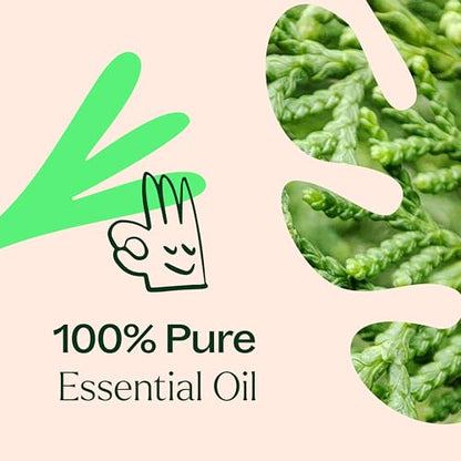 Plant Therapy Deodorizing Essential Oil Blend, 100 mL (3.3 oz), Made with 100% Pure Essential Oils, Undiluted, Perfect for Essential Oil Diffusers and Freshening A Room - size: 3.3 Fl Oz (Pack of 1)