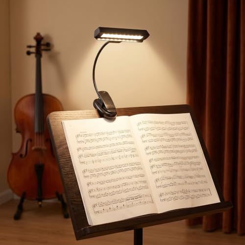 Music Stand Light, Clip on LED Lamp with 10 Bright LEDs, 360° Adjustable Gooseneck, USB or Battery Powered for Piano, Sheet Music, Desk, Travel