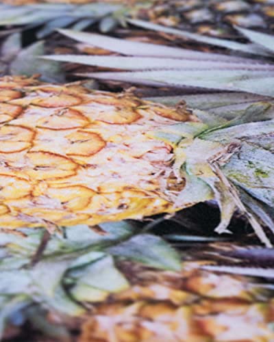 LEUS Yoga ECO Towel - Pineapple Paradise - color: Pineapple Paradise