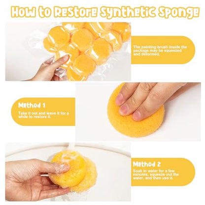 24Pcs Round Craft Sponge, Pottery sponges for Leather Care, Horse Tack Maintenance and Versatile Crafting - style: 3F-SyntheticSponges24PCS
