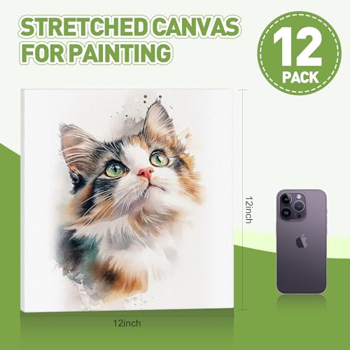 FUMILE Stretched Canvas for Painting 12x12, 12 Pack Square Canvases for Painting-5/8 in Profile Primed White Blank Painting Canvas Value Pack for Oil & Acrylic Paint - size: 12x12 in